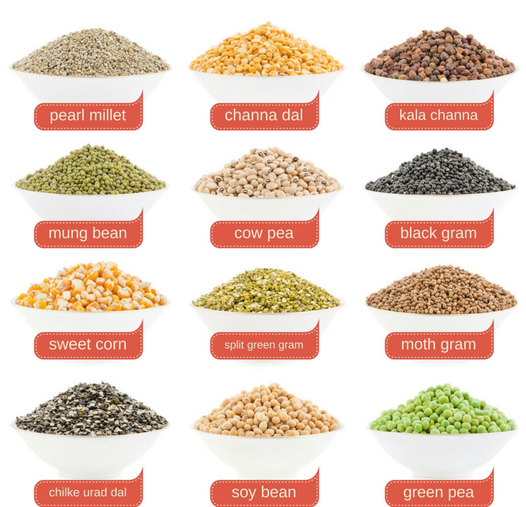 Indian-pulses