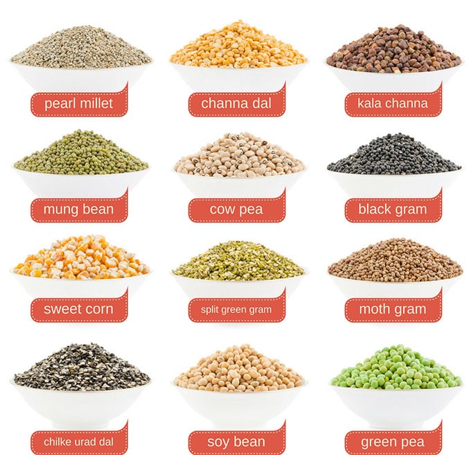 a chart of indian pulses