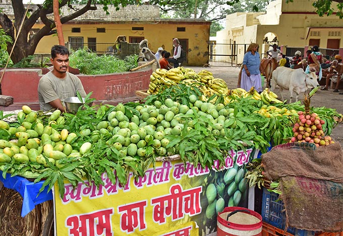 a mango fruit seller in India