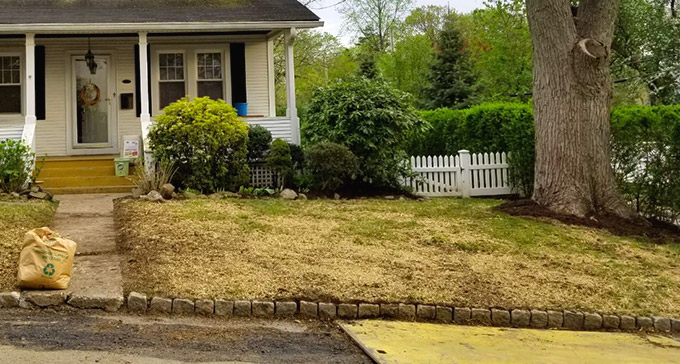 an organic lawn without weedkillers