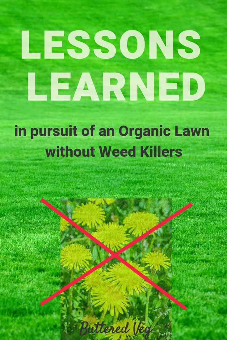 Lessons Learned In Pursuit Of An Organic Lawn Without Weed Killer