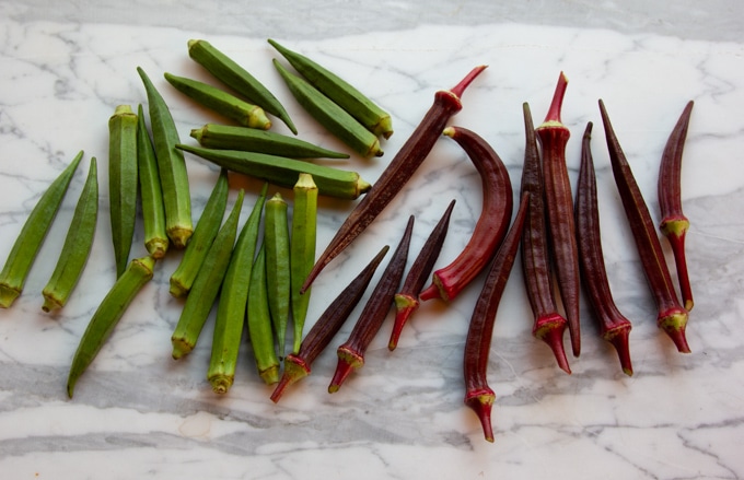 Indian okra and red okra