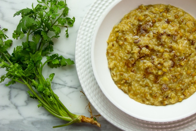 khichdi in a bowl with cilantro