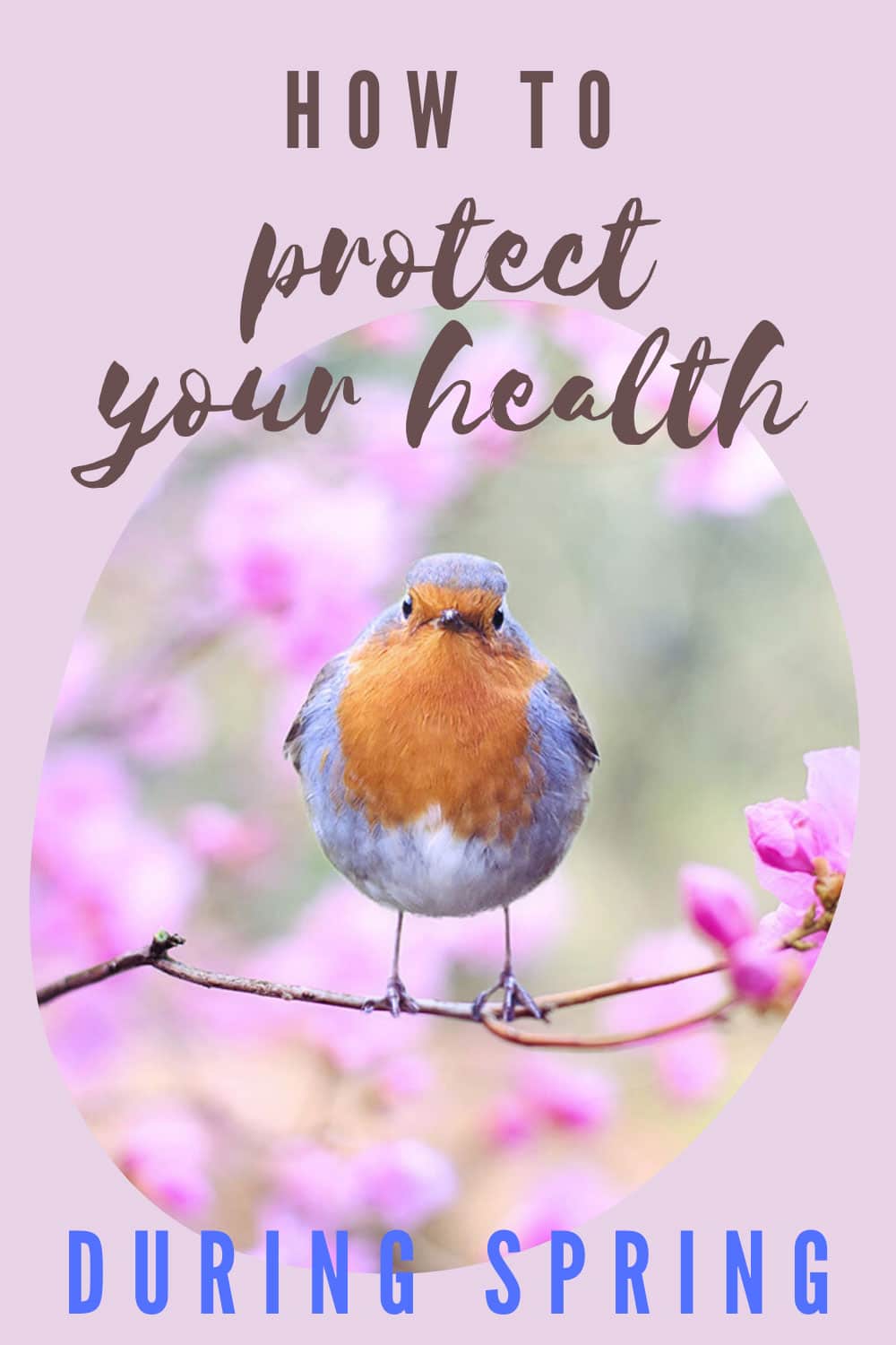How To Protect Your Health During Spring