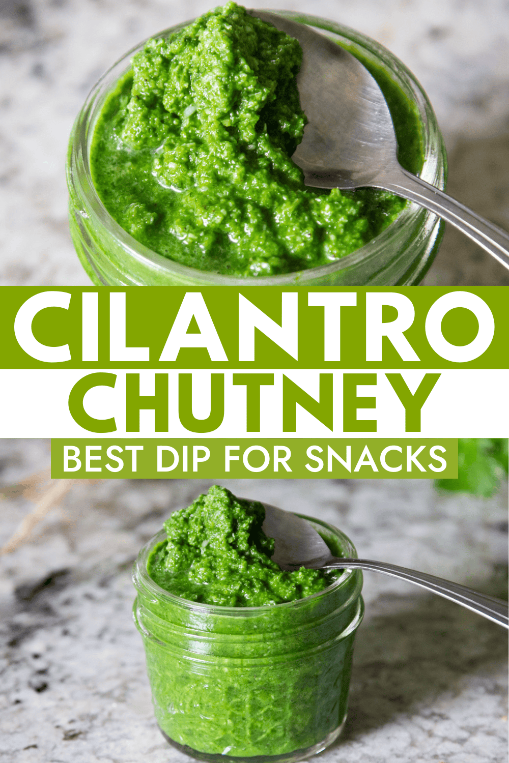 Fresh Cilantro Chutney