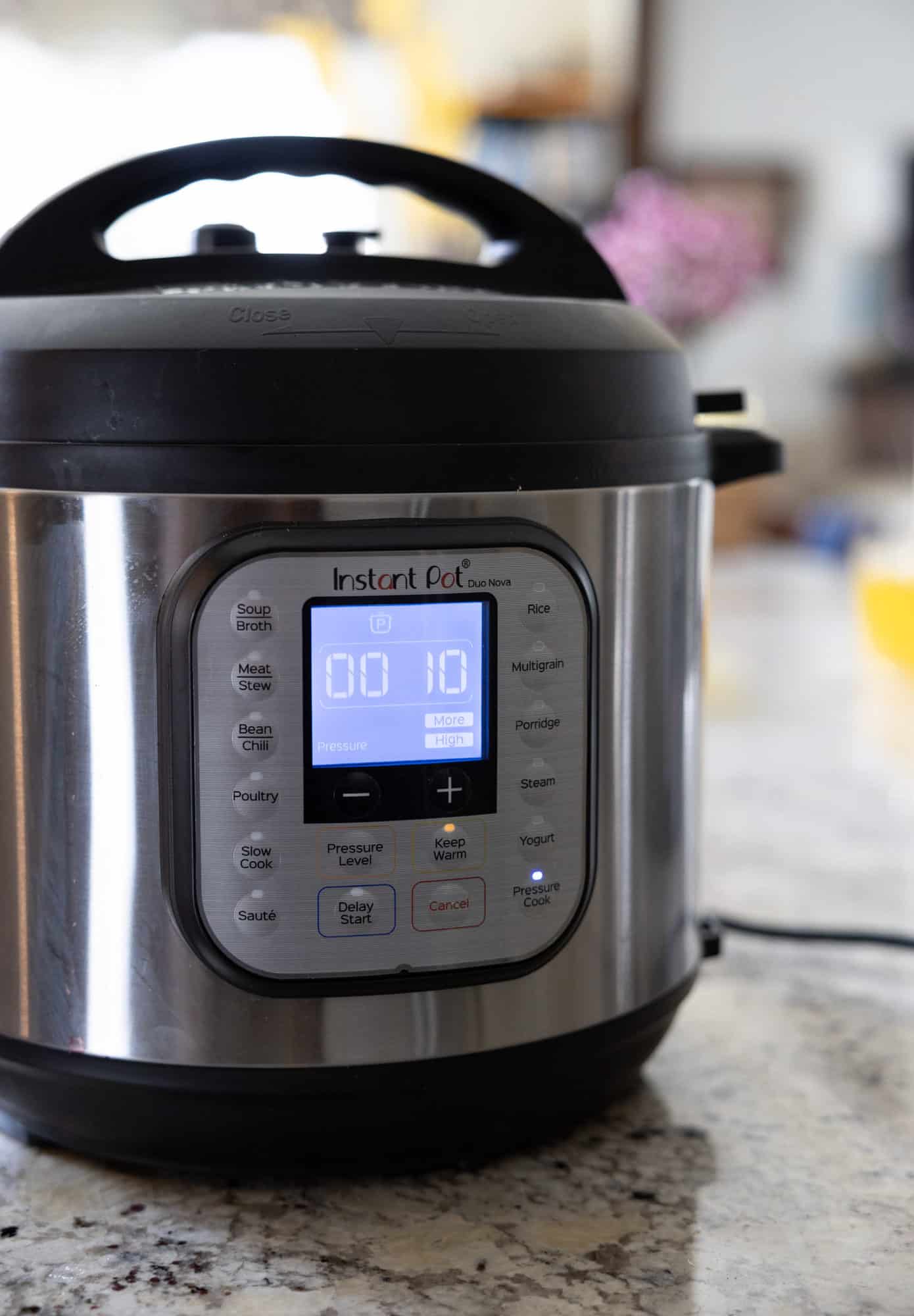 instant pot