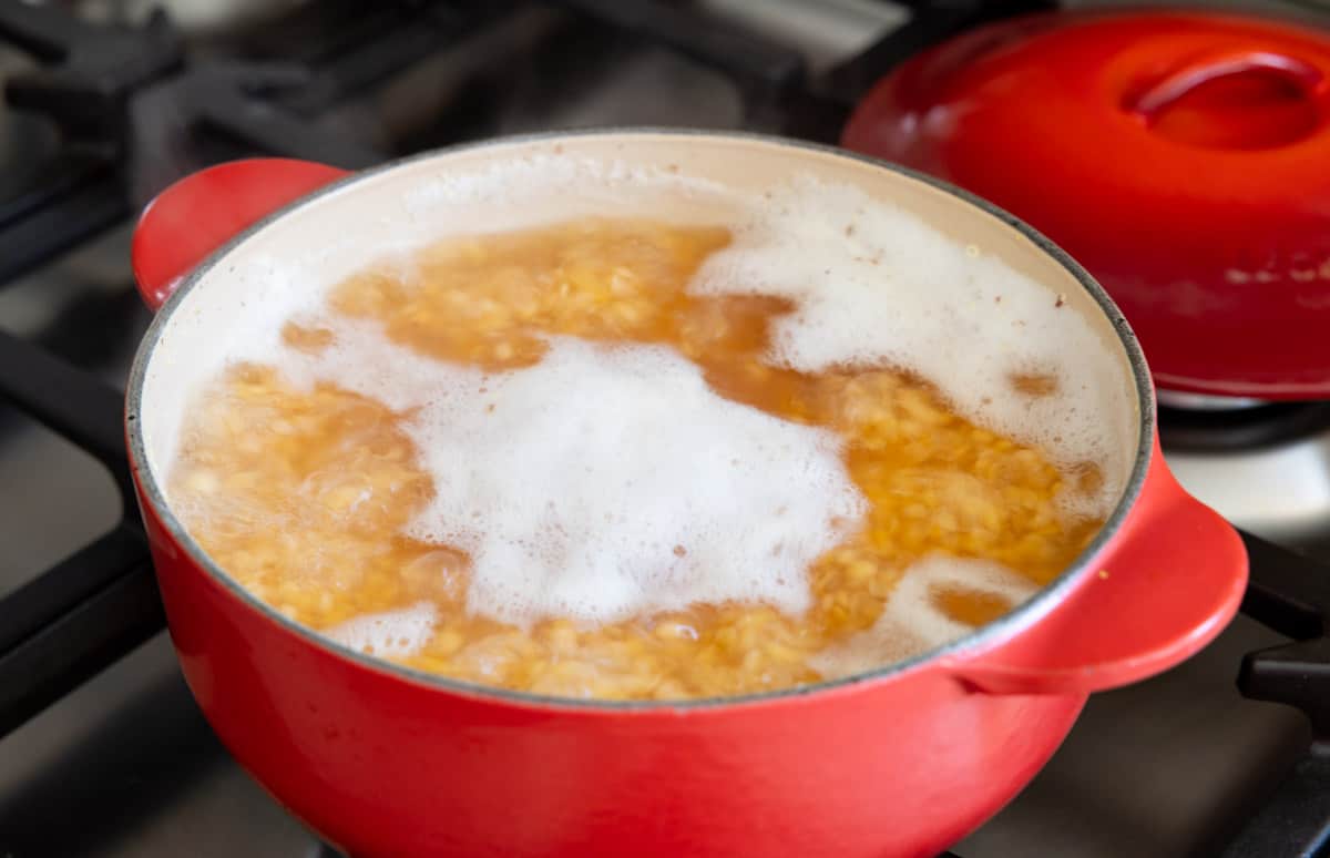 skimming foam of dal