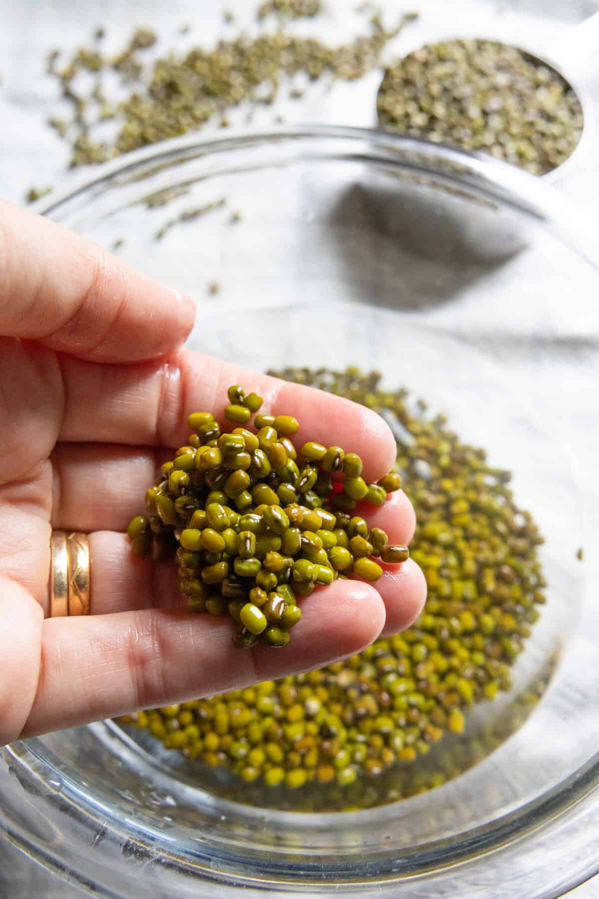 rinsing mung beans