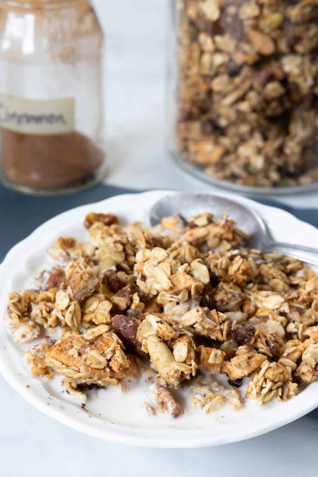Ayurvedic Granola (Oilfree, Sugarfree) Vegetarian Recipes for