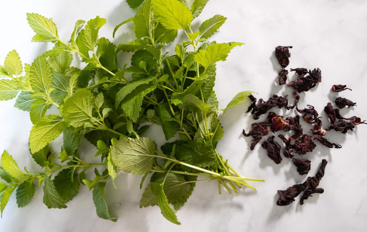 Lemon Balm and Hibiscus