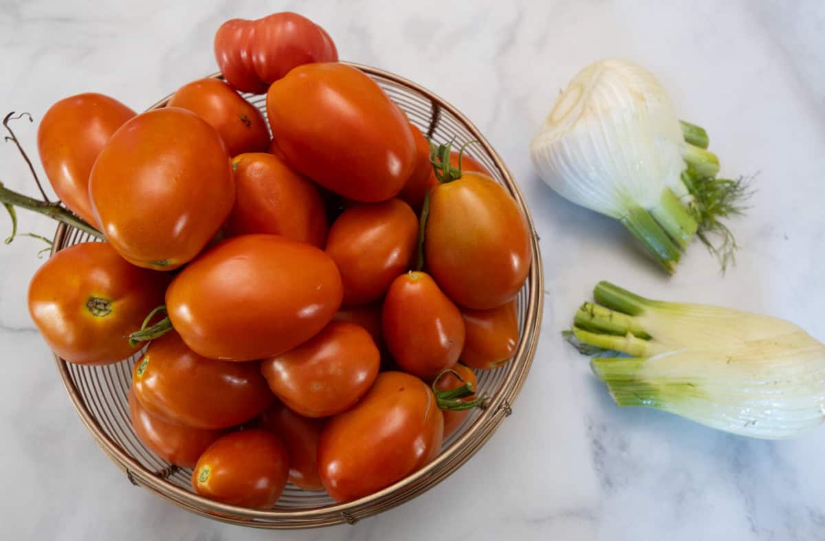 tomatoes and fennel bulb