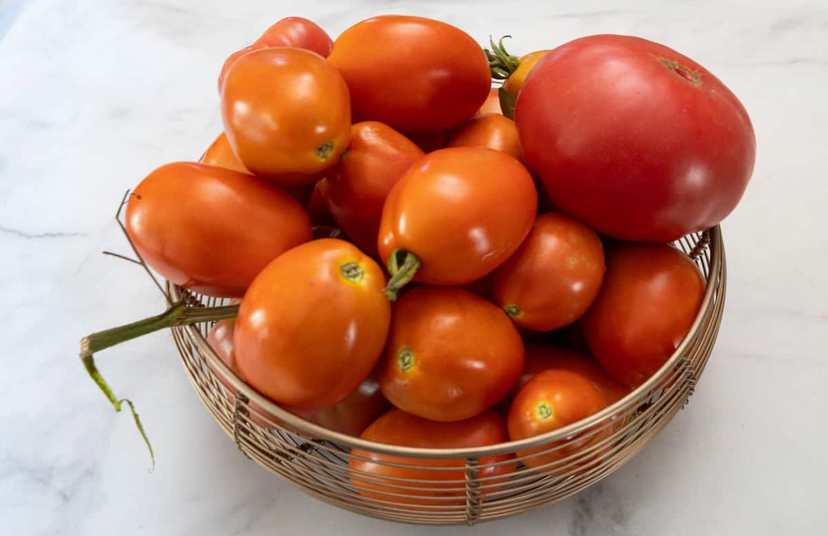 tomatoes