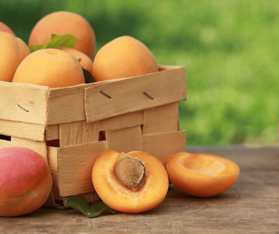 apricot