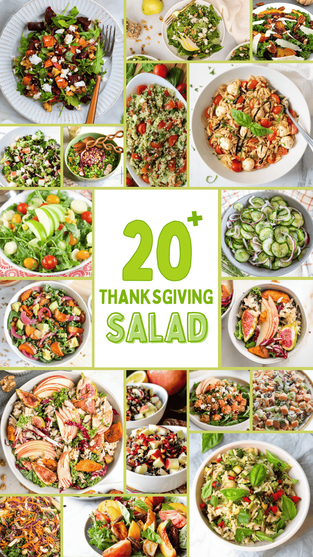 20+ Vegetarian Thanksgiving Salad Recipes Vegetarian Recipes for