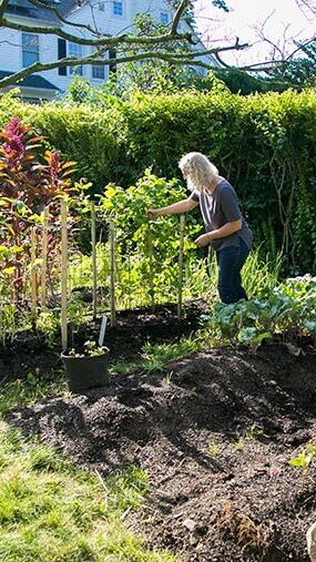 about buttered veg in my garden