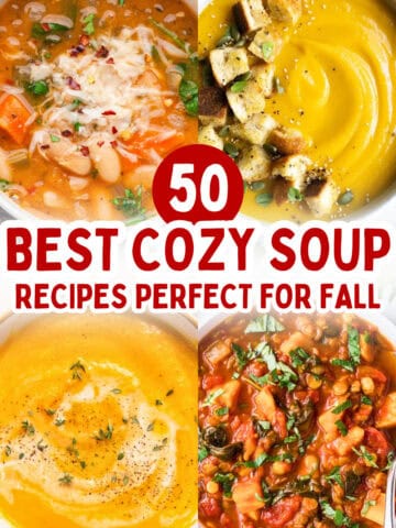 Best Cozy Soup Recipes Perfect for Fall