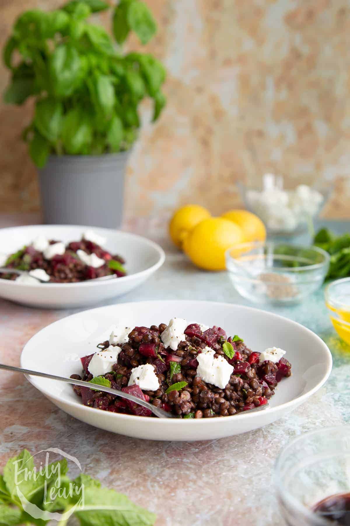 Lentil and Pomegranate Salad